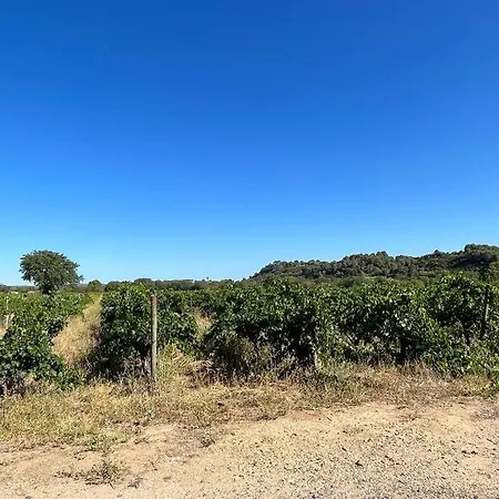 Sfeervolle Vakantiewoning * Pézenas